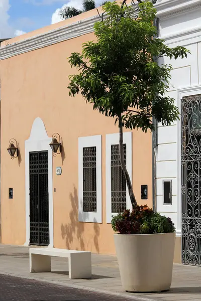 Merida, Yucatan, Meksika 'nın kaldırım taşı caddelerindeki evlerin kapı ve pencereleri..