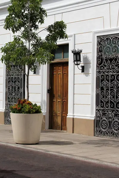 Merida, Yucatan, Meksika 'nın kaldırım taşı caddelerindeki evlerin kapı ve pencereleri..