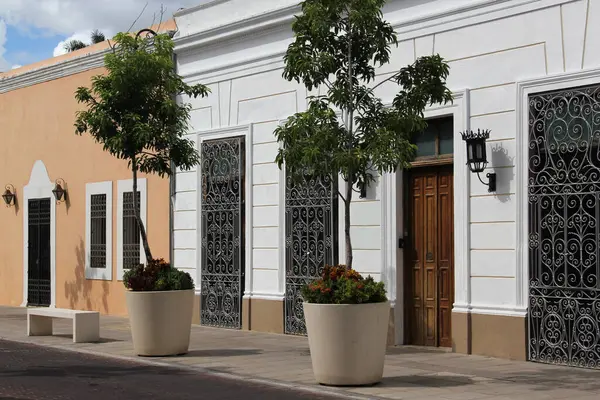 Merida, Yucatan, Meksika 'nın kaldırım taşı caddelerindeki evlerin kapı ve pencereleri..