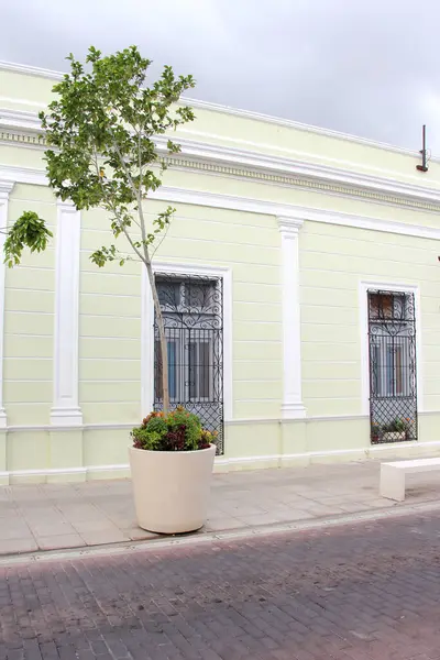 Merida, Yucatan, Meksika 'nın kaldırım taşı caddelerindeki evlerin kapı ve pencereleri..