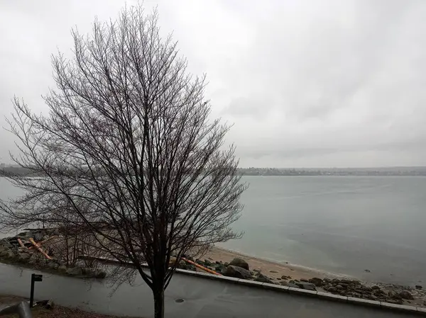 English Bay, Vancouver, Kanada sonbahar ve kış mevsimlerinde şehir merkezinde bir turistik merkezdir.