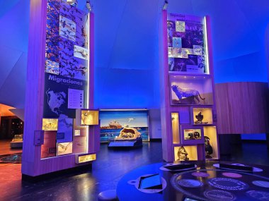 Mexico City, Mexico - 26 Mart 2025: Doldurulmuş hayvan örnekleri, fosiller, kayalar, mineraller, heykeller ve modellerle Doğal Tarih ve Çevre Kültürü Müzesi