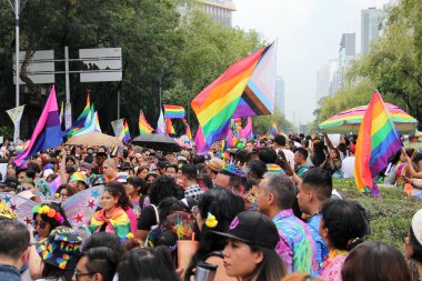 Mexico City, Mexico - 29 Haziran 2024: Onur Yürüyüşü, CDMX caddelerinde LGBTİ topluluğunun, lezbiyen, eşcinsel, biseksüel, trans ve interseksüel üyelerinin bir festival gösterisidir.