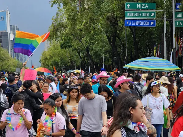 Mexico City, Mexico - 29 Haziran 2024: Onur Yürüyüşü, CDMX caddelerinde LGBTİ topluluğunun, lezbiyen, eşcinsel, biseksüel, trans ve interseksüel üyelerinin bir festival gösterisidir.