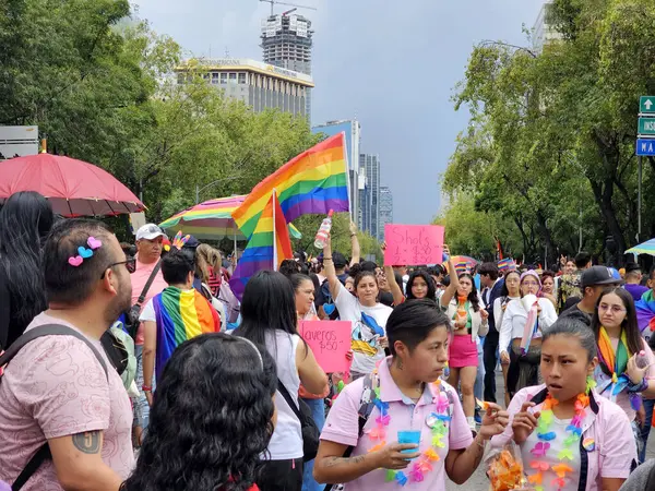 Mexico City, Mexico - 29 Haziran 2024: Onur Yürüyüşü, CDMX caddelerinde LGBTİ topluluğunun, lezbiyen, eşcinsel, biseksüel, trans ve interseksüel üyelerinin bir festival gösterisidir.