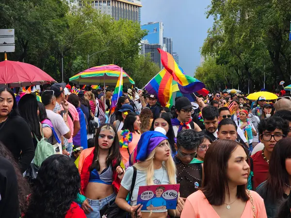 Mexico City, Mexico - 29 Haziran 2024: Onur Yürüyüşü, CDMX caddelerinde LGBTİ topluluğunun, lezbiyen, eşcinsel, biseksüel, trans ve interseksüel üyelerinin bir festival gösterisidir.