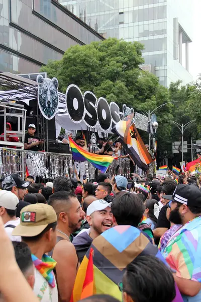 Mexico City, Mexico - 29 Haziran 2024: Onur Yürüyüşü, CDMX caddelerinde LGBTİ topluluğunun, lezbiyen, eşcinsel, biseksüel, trans ve interseksüel üyelerinin bir festival gösterisidir.