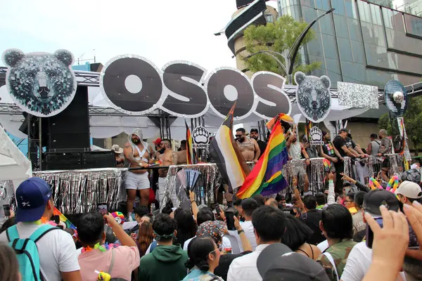 Mexico City, Mexico - 29 Haziran 2024: Onur Yürüyüşü, CDMX caddelerinde LGBTİ topluluğunun, lezbiyen, eşcinsel, biseksüel, trans ve interseksüel üyelerinin bir festival gösterisidir.