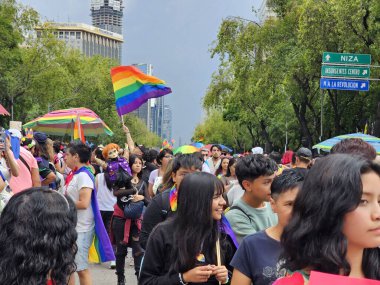 Mexico City, Mexico - 29 Haziran 2024: Onur Yürüyüşü, CDMX caddelerinde LGBTİ topluluğunun, lezbiyen, eşcinsel, biseksüel, trans ve interseksüel üyelerinin bir festival gösterisidir.