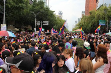 Mexico City, Mexico - 29 Haziran 2024: Onur Yürüyüşü, CDMX caddelerinde LGBTİ topluluğunun, lezbiyen, eşcinsel, biseksüel, trans ve interseksüel üyelerinin bir festival gösterisidir.