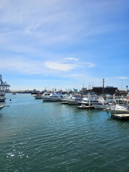 Ensenada, Baja California, Meksika - 16 Mart 2025: Ventana al Mar Boardwalk, gezmek için okyanusa bakan bir kamusal alan, restoranlar ve muhteşem manzaralı