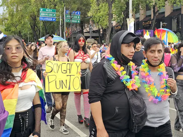 Mexico City, Mexico - 29 Haziran 2024: Eşcinsel Gurur Yürüyüşü, LGBT + toplumunu kutlayan ve hakları için savaşan cinsiyet ve cinsiyet farklılıklarını anan bir gösteridir.