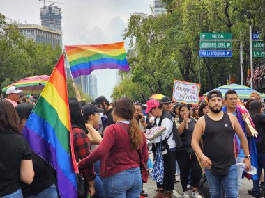 Mexico City, Mexico - 29 Haziran 2024: Onur Yürüyüşü, CDMX caddelerinde LGBTİ topluluğunun, lezbiyen, eşcinsel, biseksüel, trans ve interseksüel üyelerinin bir festival gösterisidir.