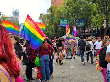 Mexico City, Mexico - 29 Haziran 2024: Onur Yürüyüşü, CDMX caddelerinde LGBTİ topluluğunun, lezbiyen, eşcinsel, biseksüel, trans ve interseksüel üyelerinin bir festival gösterisidir.