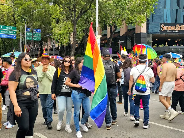 Mexico City, Mexico - 29 Haziran 2024: Onur Yürüyüşü, CDMX caddelerinde LGBTİ topluluğunun, lezbiyen, eşcinsel, biseksüel, trans ve interseksüel üyelerinin bir festival gösterisidir.
