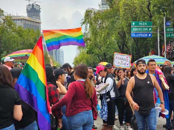 Mexico City, Mexico - 29 Haziran 2024: Onur Yürüyüşü, CDMX caddelerinde LGBTİ topluluğunun, lezbiyen, eşcinsel, biseksüel, trans ve interseksüel üyelerinin bir festival gösterisidir.