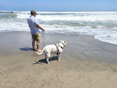 Yetişkin Latin bir adam köpeğini sahil kenarında gezdirir. Duygusal destek köpeğiyle mesleki bir terapi olarak.