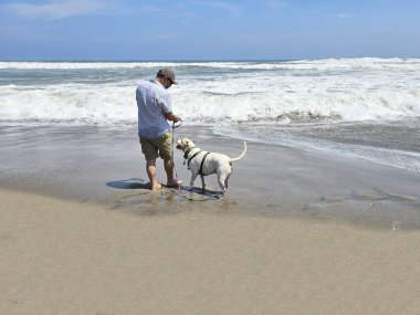 Yetişkin Latin bir adam köpeğini sahil kenarında gezdirir. Duygusal destek köpeğiyle mesleki bir terapi olarak.