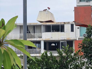 Acapulco, Guerrero, Meksika - 26 Mayıs 2025: Acapulco, Guerrero, Meksika kıyılarındaki oteller, binalar ve restoranlarda kasırga hasarı