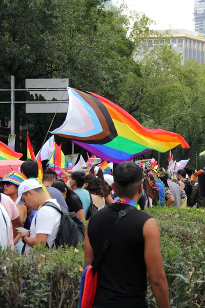 Mexico City, Mexico - 29 Haziran 2024: Onur Yürüyüşü, CDMX caddelerinde LGBTİ topluluğunun, lezbiyen, eşcinsel, biseksüel, trans ve interseksüel üyelerinin bir festival gösterisidir.