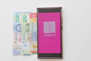 Mexico City, Mexico - 22 Şubat 2025: Liverpool Pocket Mağazası uygulaması ve web sitesi internet üzerinden alışveriş için bir mobil uygulamadır.