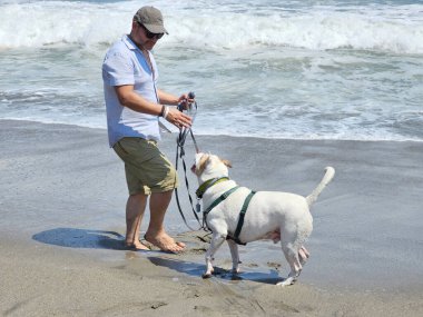 Yetişkin bir adam, plajda terapi olarak beyaz pitbull 'uyla yürüyor ve yanında depresyon ve anksiyeteye karşı beslediği duygusal destek de var.