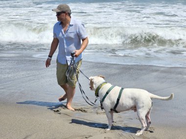 Yetişkin bir adam, plajda terapi olarak beyaz pitbull 'uyla yürüyor ve yanında depresyon ve anksiyeteye karşı beslediği duygusal destek de var.
