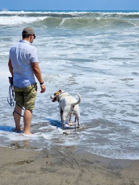 Yetişkin bir adam, plajda terapi olarak beyaz pitbull 'uyla yürüyor ve yanında depresyon ve anksiyeteye karşı beslediği duygusal destek de var.