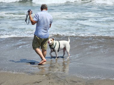 Yetişkin bir adam, plajda terapi olarak beyaz pitbull 'uyla yürüyor ve yanında depresyon ve anksiyeteye karşı beslediği duygusal destek de var.