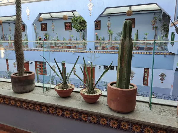 Mexico City, Mexico - 23 Nisan 2023: Hotel Parque Mexico 'nun mavi iç mekanı CDMX' in Condesa mahallesinde bir butik oteldir.