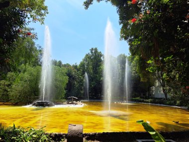 Mexico City, Mexico - 23 Nisan 2023: Park Meksiko, Meksiko 'nun Condesa semtindeki en önemli parktır.