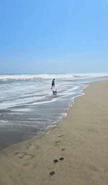40 yaşındaki bekar Latin erkek, depresyon ve endişe üzerine çalışmak için duygusal destek köpeğiyle plajı seviyor.