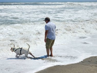 40 yaşındaki bekar Latin erkek, depresyon ve endişe üzerine çalışmak için duygusal destek köpeğiyle plajı seviyor.