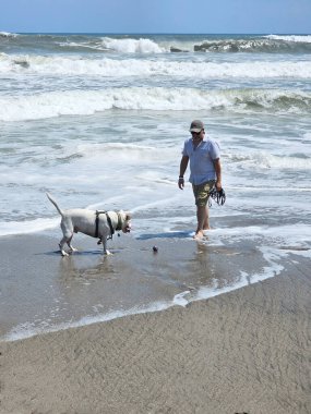 40 yaşındaki bekar Latin erkek, depresyon ve endişe üzerine çalışmak için duygusal destek köpeğiyle plajı seviyor.
