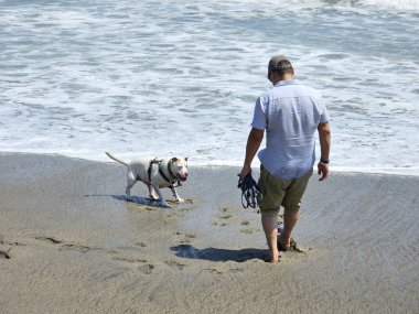 40 yaşındaki bekar Latin erkek, depresyon ve endişe üzerine çalışmak için duygusal destek köpeğiyle plajı seviyor.