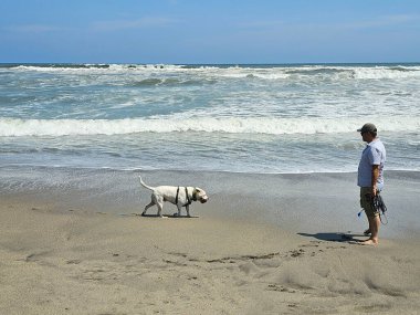 40 yaşındaki bekar Latin erkek, depresyon ve endişe üzerine çalışmak için duygusal destek köpeğiyle plajı seviyor.