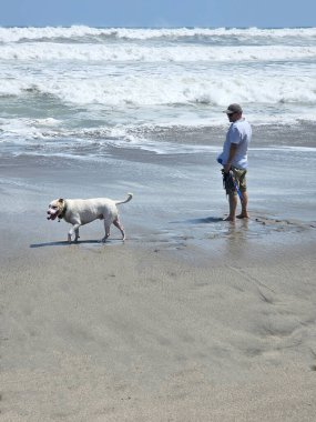 40 yaşındaki bekar Latin erkek, depresyon ve endişe üzerine çalışmak için duygusal destek köpeğiyle plajı seviyor.