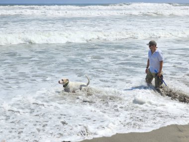 40 yaşındaki bekar Latin erkek, depresyon ve endişe üzerine çalışmak için duygusal destek köpeğiyle plajı seviyor.