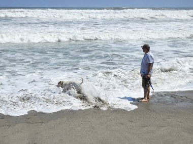 40 yaşındaki bekar Latin erkek, depresyon ve endişe üzerine çalışmak için duygusal destek köpeğiyle plajı seviyor.
