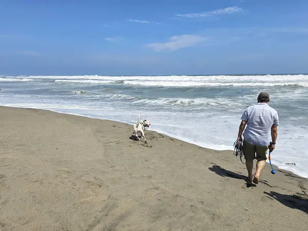 40 yaşındaki bekar Latin erkek, depresyon ve endişe üzerine çalışmak için duygusal destek köpeğiyle plajı seviyor.