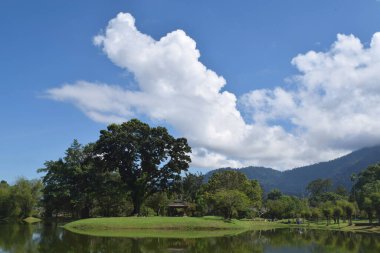 Taiping Lake Gardens 'ın güzel manzarası. Taiping 'de, Malezya' nın Perak eyaletinde eski bir kasabadır.. 