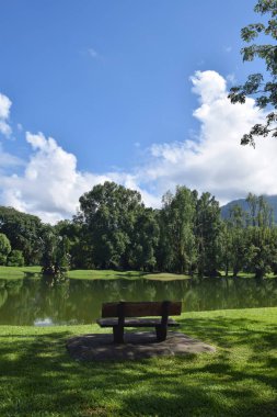 Taiping Lake Gardens 'ın güzel manzarası. Taiping 'de, Malezya' nın Perak eyaletinde eski bir kasabadır.. 