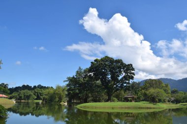 Taiping Lake Gardens 'ın güzel manzarası. Taiping 'de, Malezya' nın Perak eyaletinde eski bir kasabadır.. 
