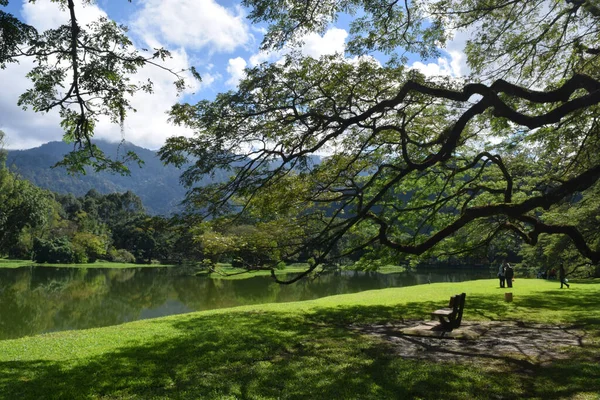 Taiping Lake Gardens 'ın güzel manzarası. Taiping 'de, Malezya' nın Perak eyaletinde eski bir kasabadır.. 