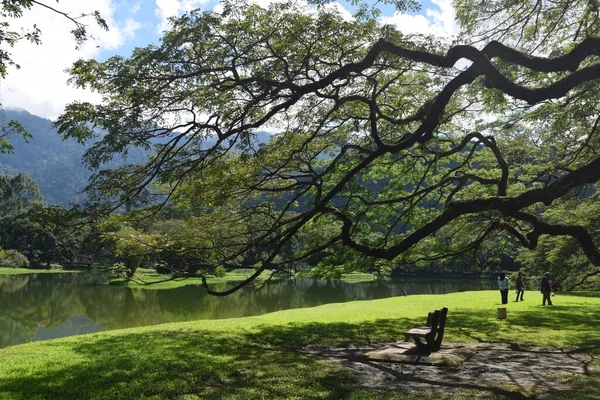 Taiping Lake Gardens 'ın güzel manzarası. Taiping 'de, Malezya' nın Perak eyaletinde eski bir kasabadır.. 