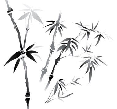 Fırça etkisi bambu. Beyaz arka planı olan siyah beyaz bambu..