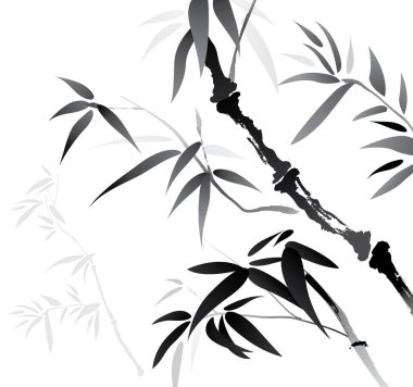 Fırça etkisi bambu. Beyaz arka planı olan siyah beyaz bambu..