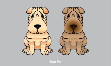 Şirin bir Shar Pei 'nin vektörü. İki renk seçeneği var. Vektör.