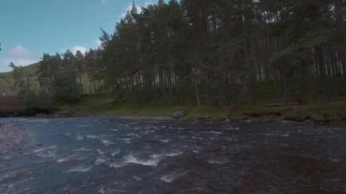 View of the river and pine forest on the bank. Video with the panning camera motion. River Dee in the Cairngorms, Highlands, Scotland.