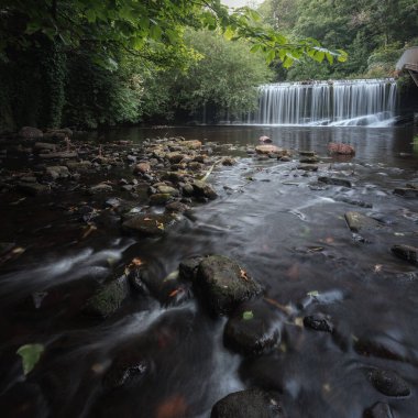 A river and weir surrounded by trees in the centre of Edinburgh. One of the most picturesque location in Edinburgh. Vacation travel holiday banner. Cityscape of the Edinburgh, Scotland, United Kingdom